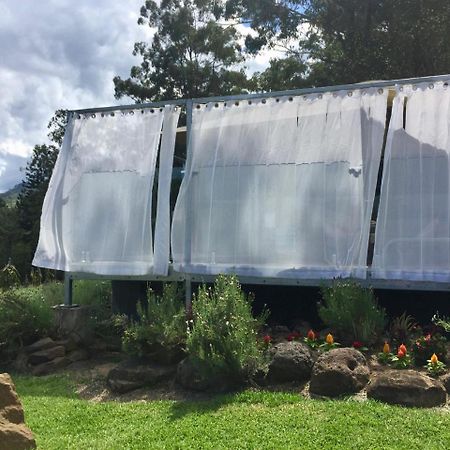 Tuckers Retreat Canungra Exterior foto
