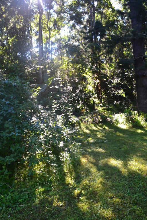 Tuckers Retreat Canungra Exterior foto