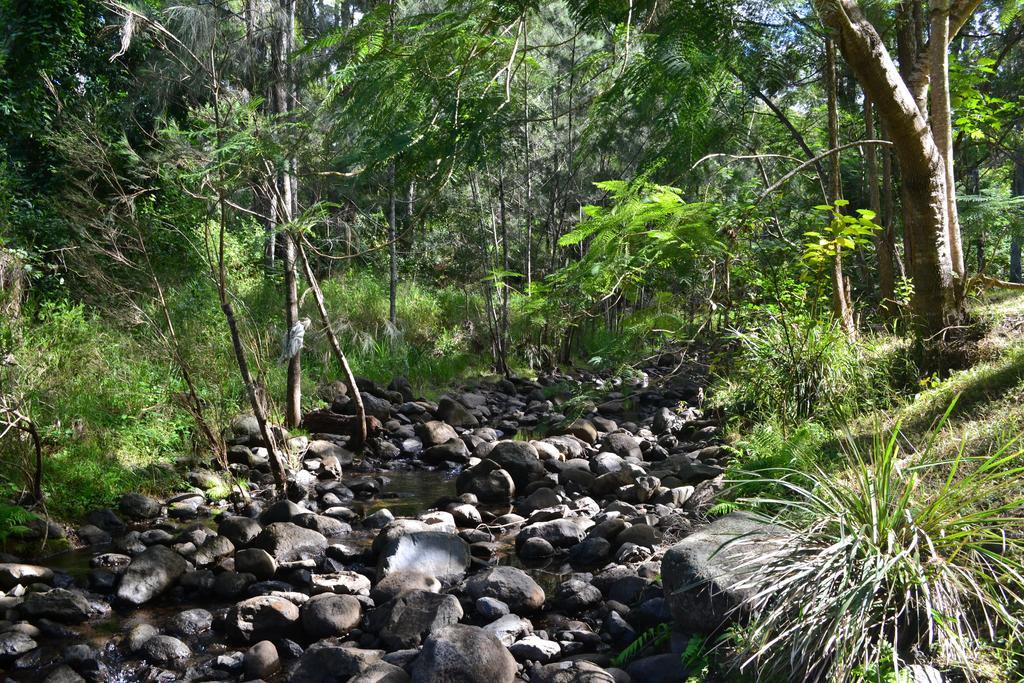 Tuckers Retreat Canungra Exterior foto