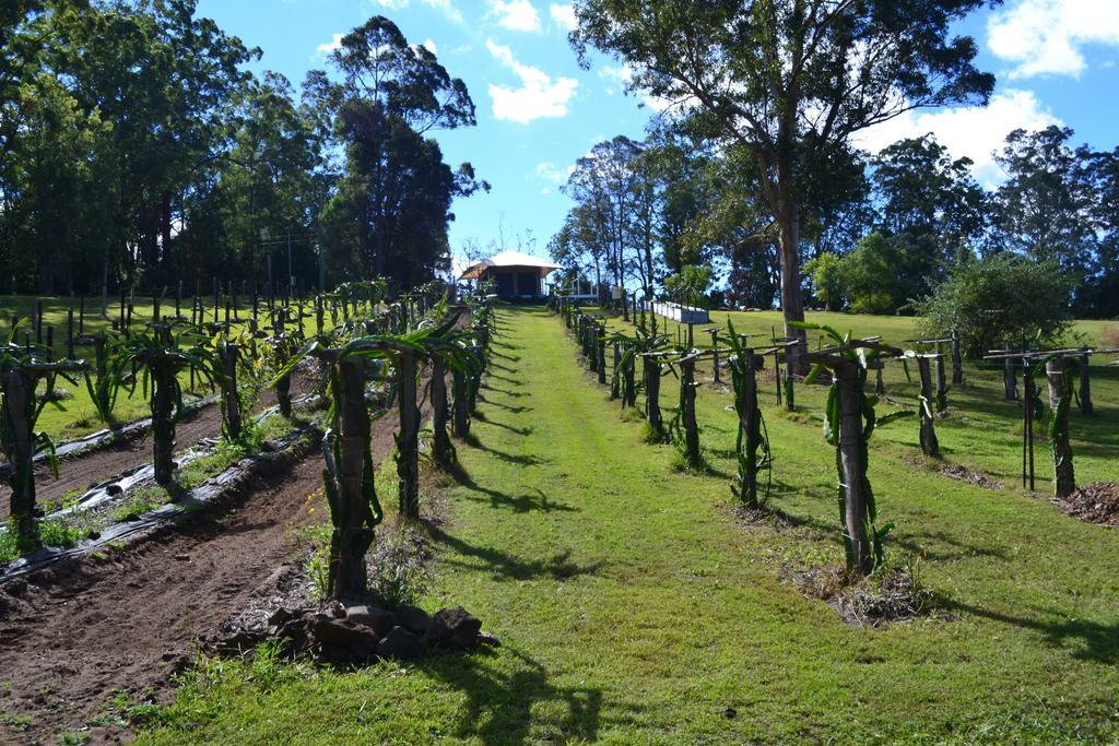 Tuckers Retreat Canungra Exterior foto