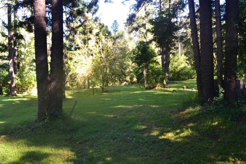 Tuckers Retreat Canungra Exterior foto