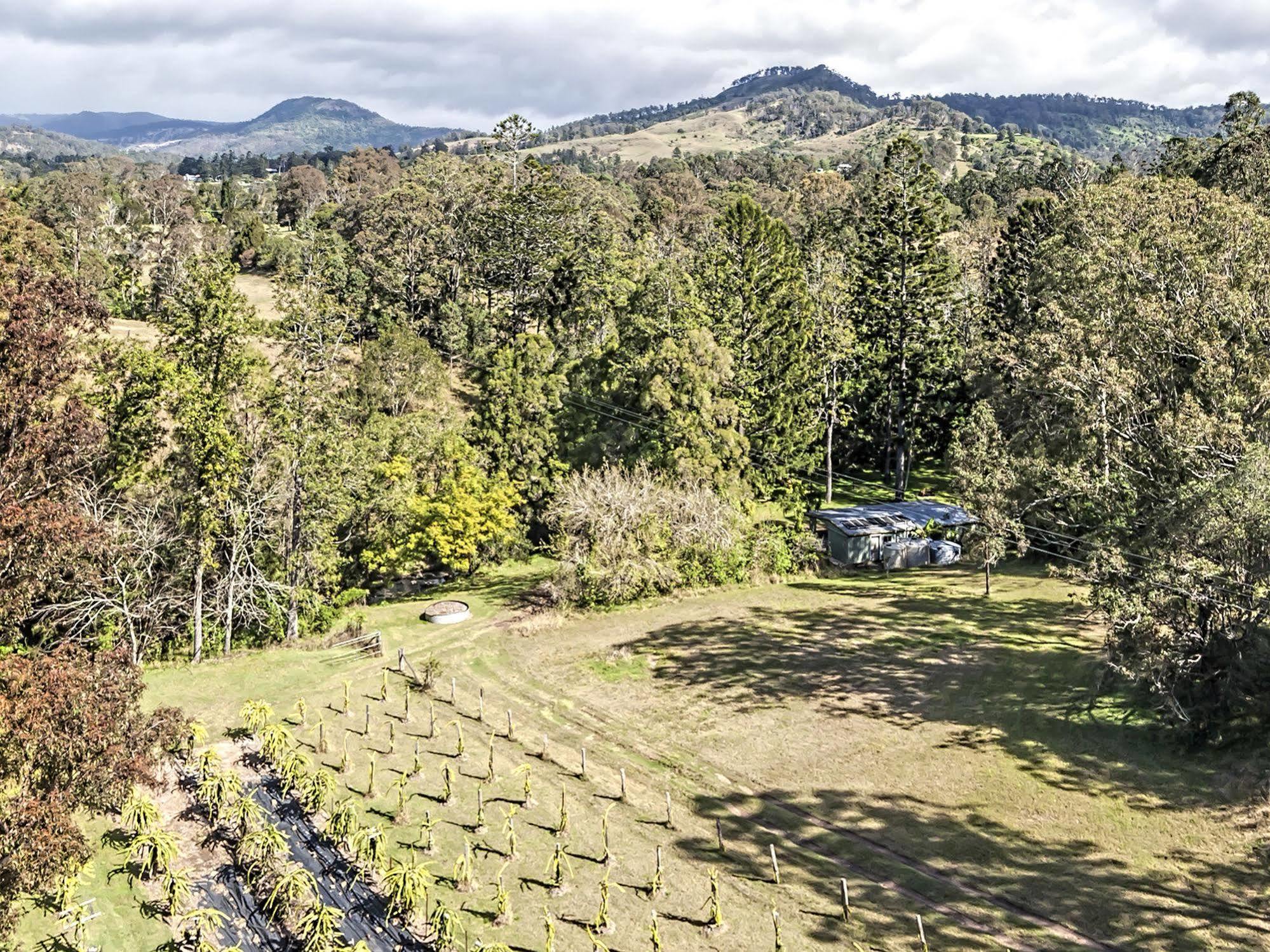 Tuckers Retreat Canungra Exterior foto