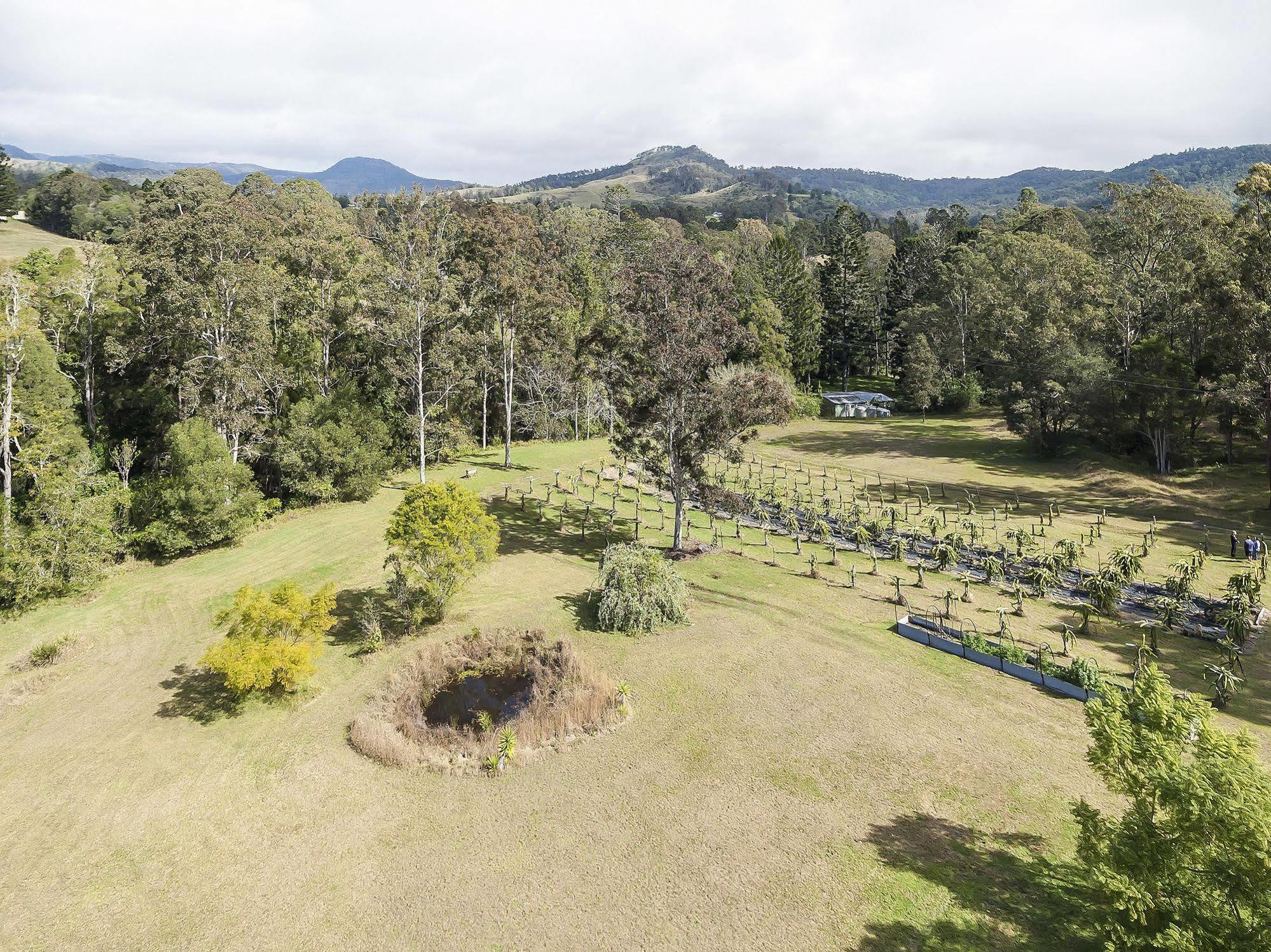 Tuckers Retreat Canungra Exterior foto