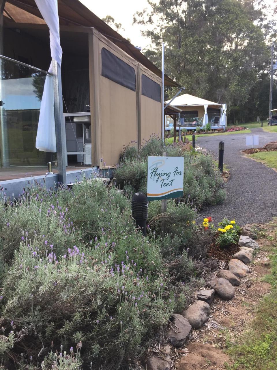 Tuckers Retreat Canungra Exterior foto